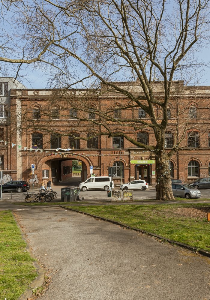 Sicht auf die KoFabrik von der Grünfläche aus. Man sieht die Fassade und die Straße davor.